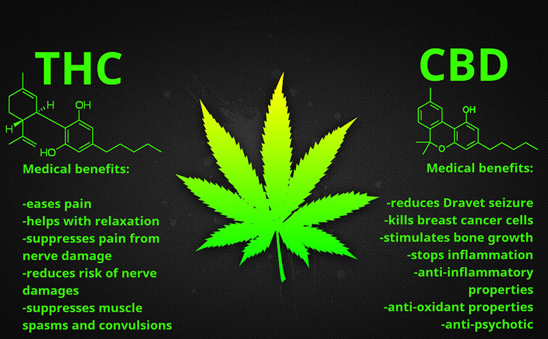 The difference between THC and CBD