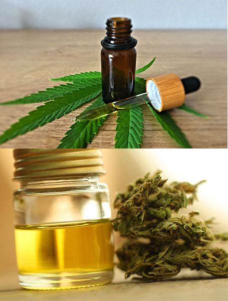 CBD Oil