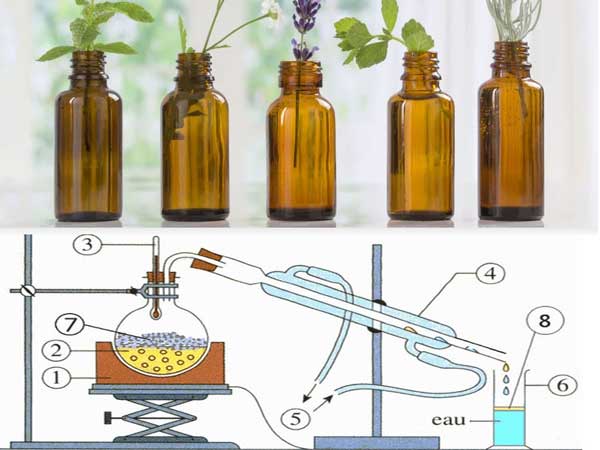 short path distillation cannabinoids temperature